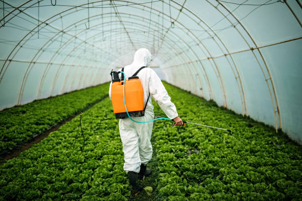 Best Affordable Pest Control Services  in Lake Mary Jane, FL