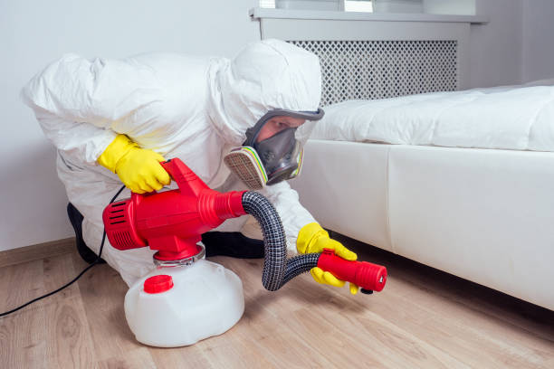 Best Bed Bug Extermination  in Lake Mary Jane, FL