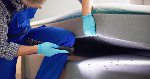 Best Flea Control Services  in Lake Mary Jane, FL