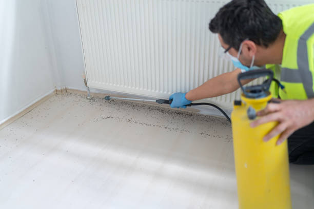 Best Rat Extermination Near Me  in Lake Mary Jane, FL